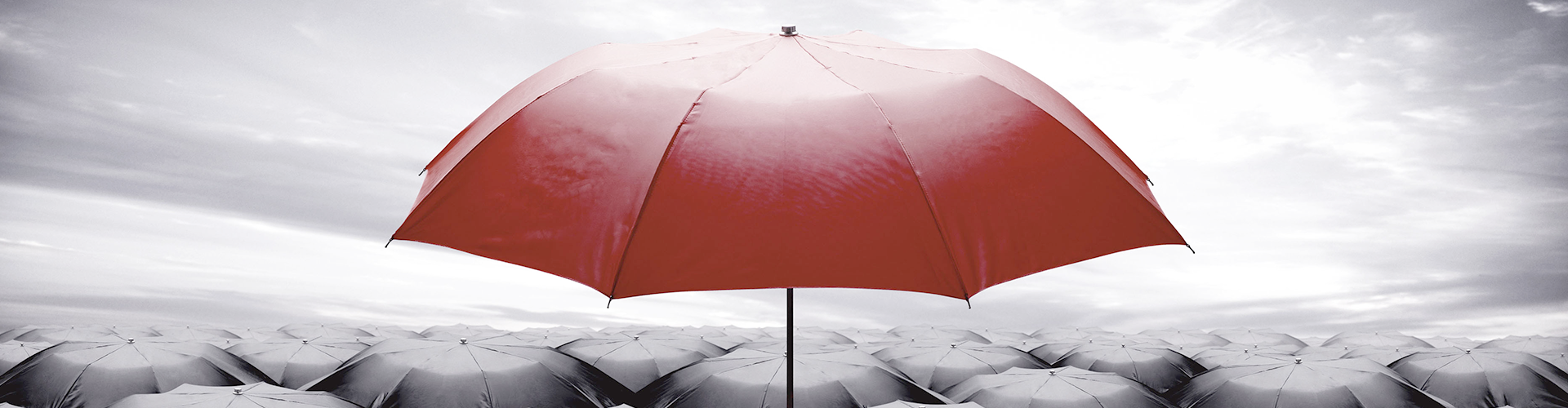 Eğitim Politikalarımız